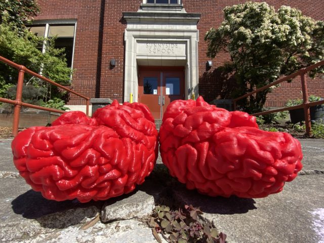 Dropped off two new 3D printed brains with 4th grade teachers at Sunnyside Environmental School!