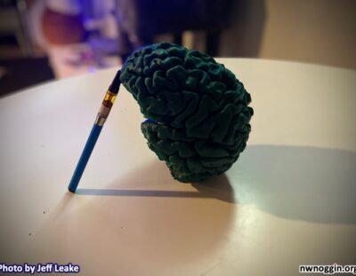 A Lit Review of Cannabis Vaping for Pain