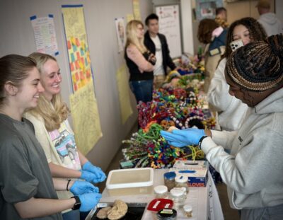 Rush Hour in the Mind