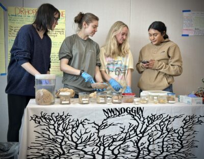 Can you spot a psychopath by looking at their brain?