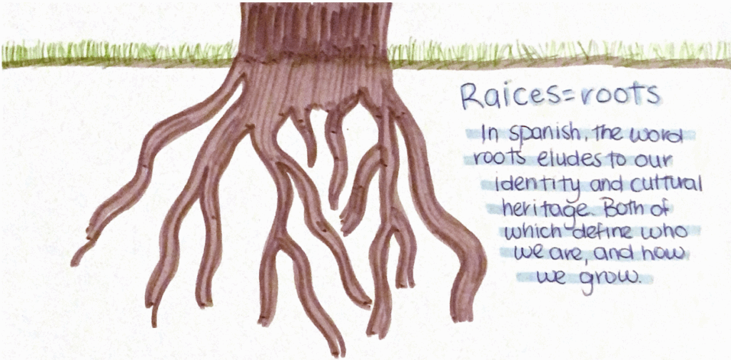 Roots in Research – NW NOGGIN: Neuroscience outreach group (growing in ...