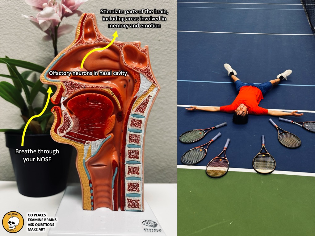 Do I breathe correctly?