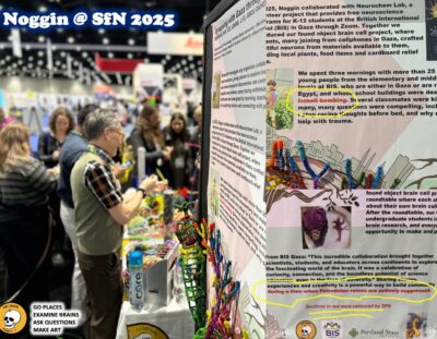 “Buildings mysteriously collapse” at SfN