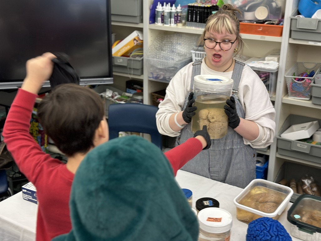 Children Are Sponges